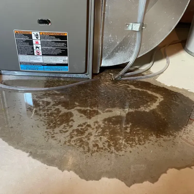 Appliance Leak Cleanup in Knollwood, IL